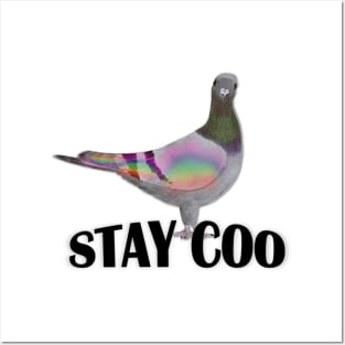 Stay Coo says the Pigeon Posters and Art